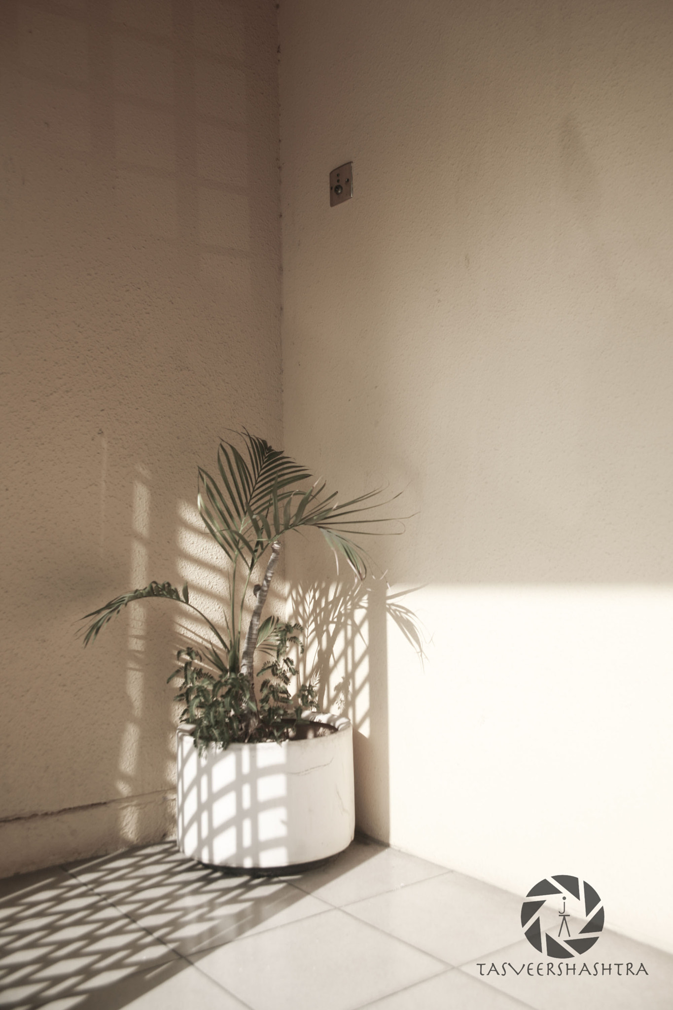 Canon EF 24-85mm F3.5-4.5 USM sample photo. Isolation photography