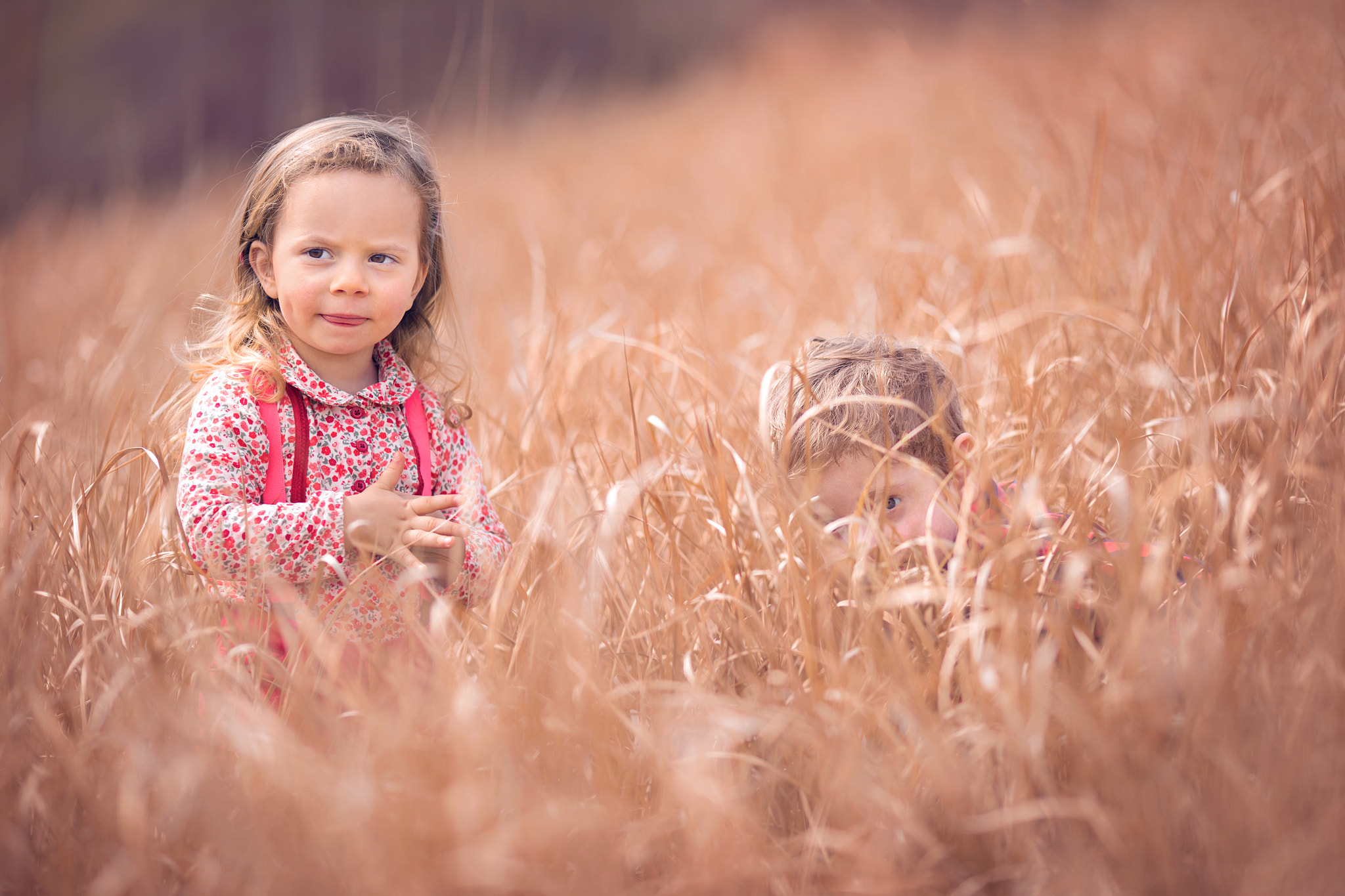 Canon EOS 6D + Canon EF 135mm F2L USM sample photo. Seek and hide 2 photography