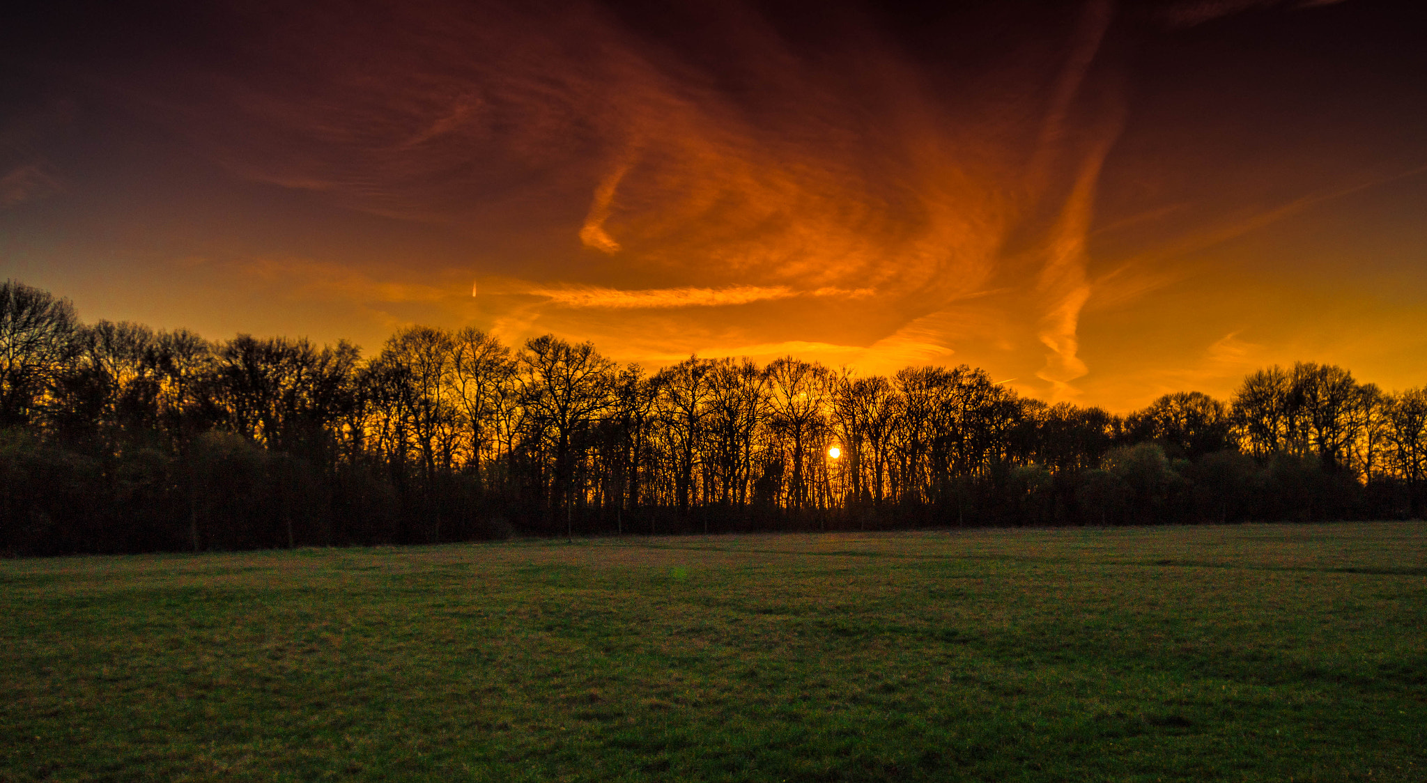 Sony SLT-A58 + Sigma 10-20mm F3.5 EX DC HSM sample photo. Nights in parks photography