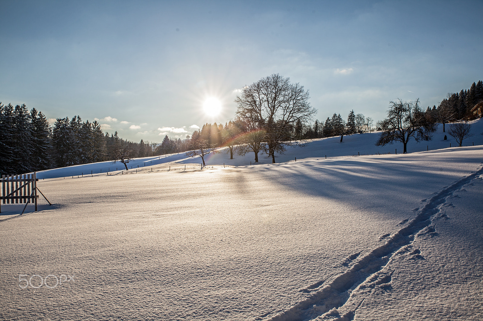 Sigma 24-70mm F2.8 EX DG Macro sample photo. Winter in kempten photography