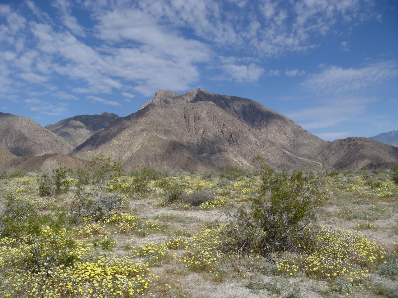 Sony DSC-T200 sample photo. Gold fields of indian head photography