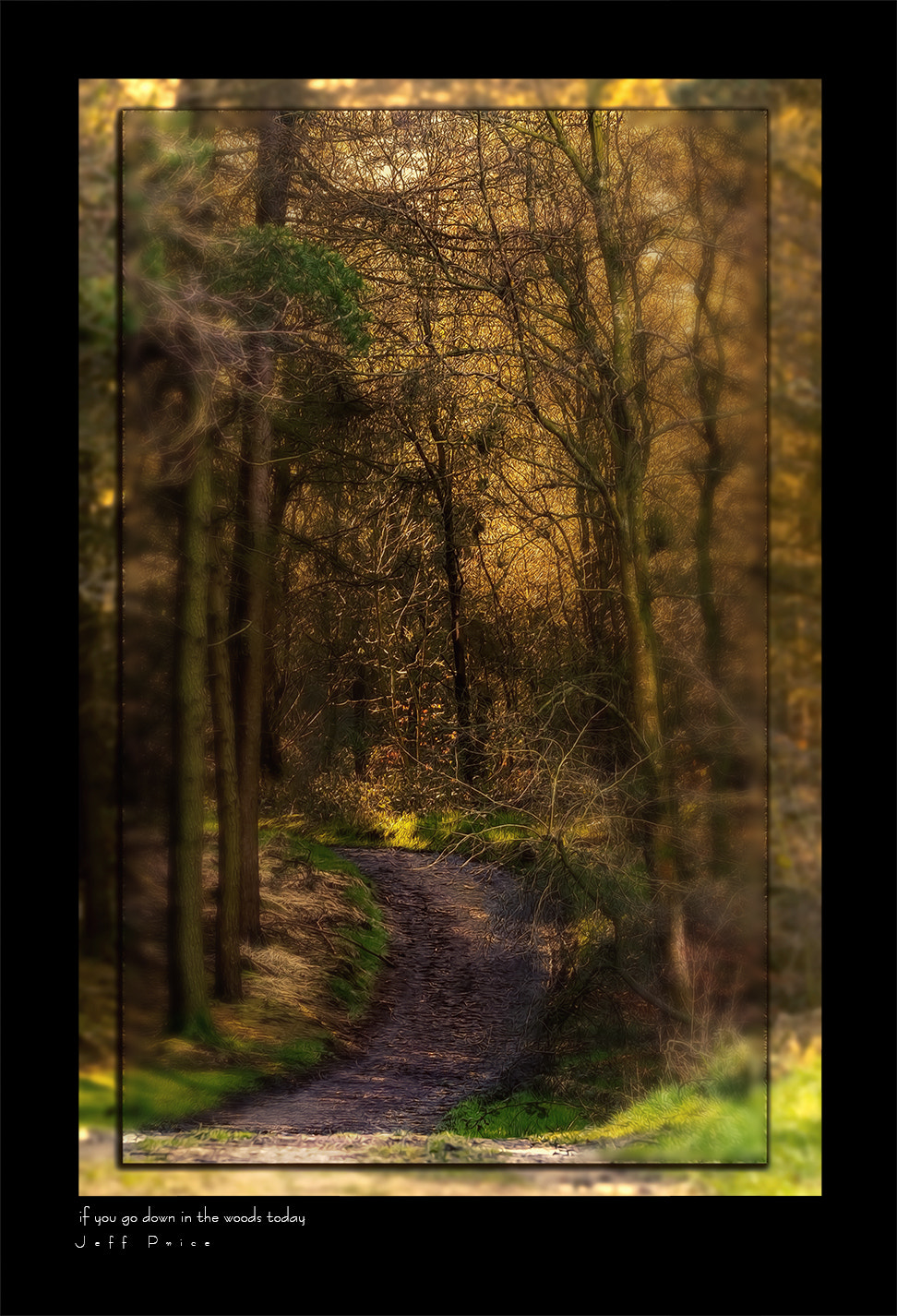 Canon EF 75-300mm F4.0-5.6 IS USM sample photo. If you go down in the woods today photography