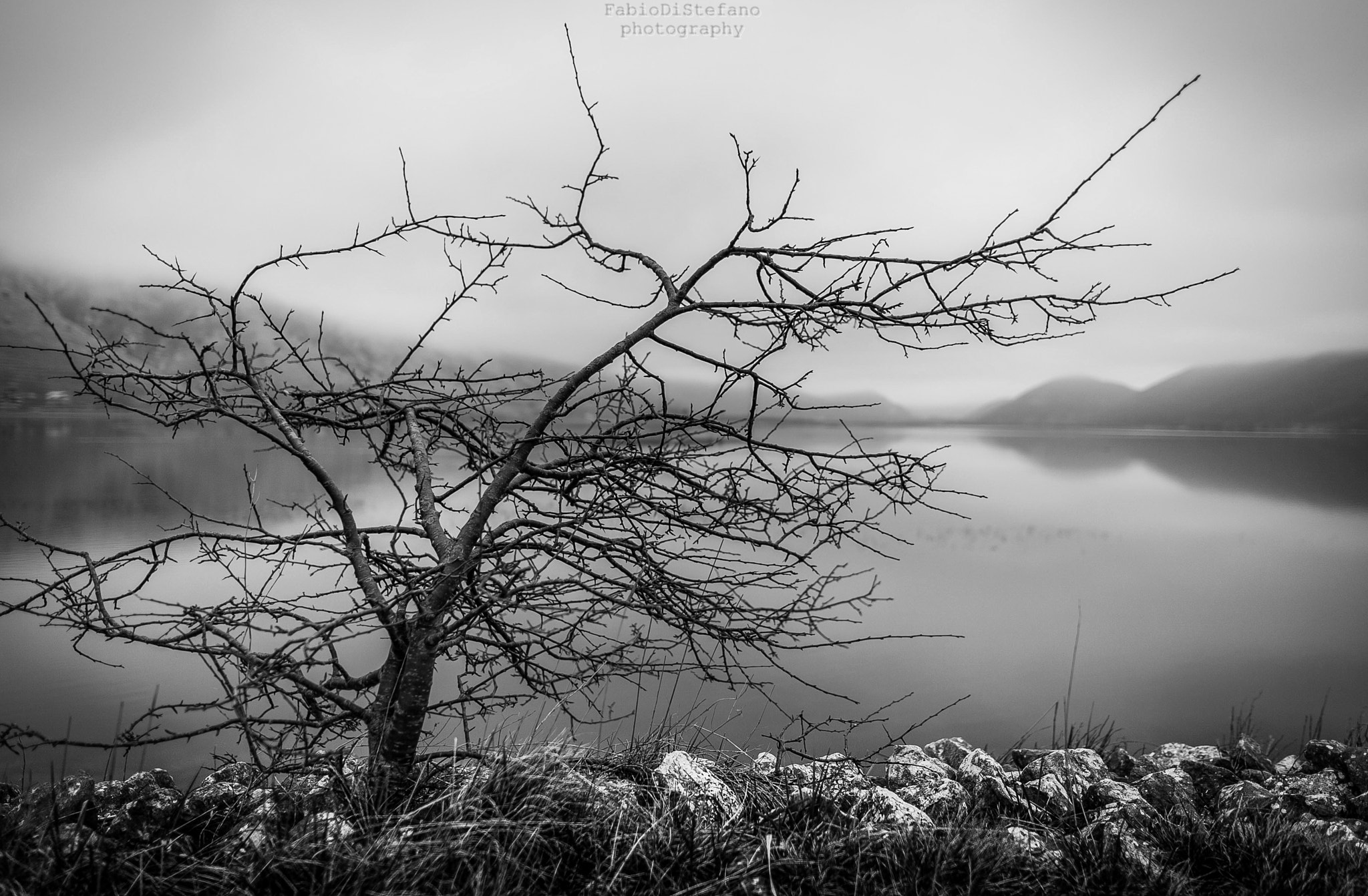 Canon EOS 5D Mark II + Sigma 24mm F1.4 DG HSM Art sample photo. Winter fog photography