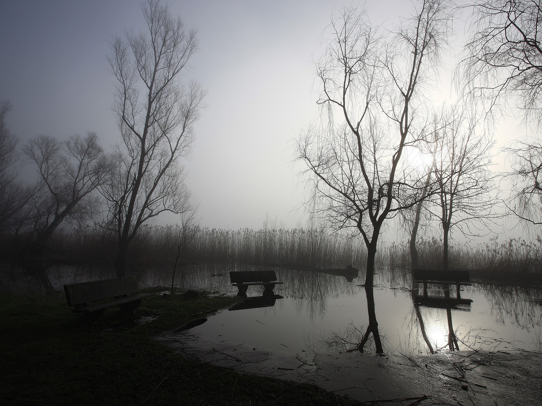 Canon EOS-1Ds Mark III sample photo. Waiting for godot photography