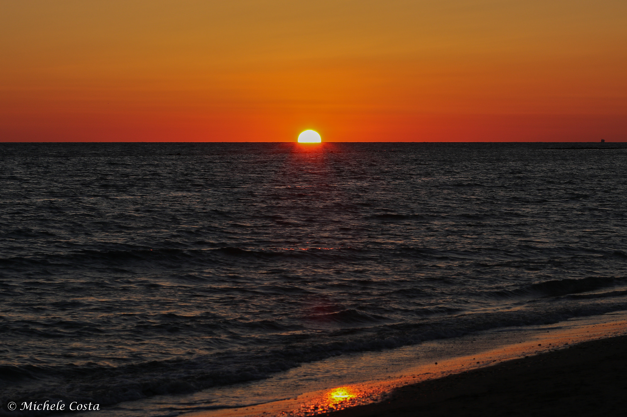Canon EF 85mm F1.8 USM sample photo. What else? photography