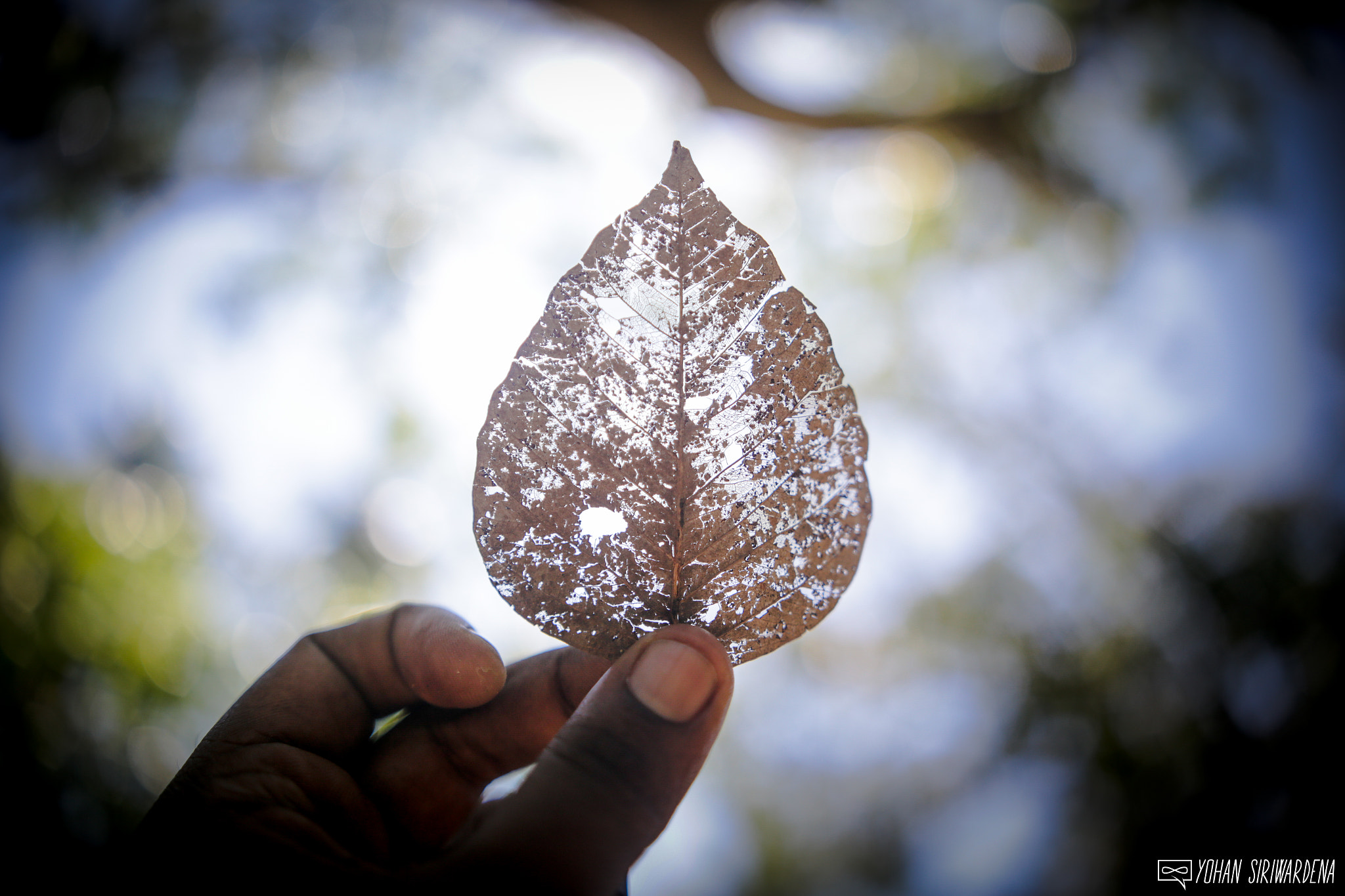 Sigma 18-35mm f/1.8 DC HSM sample photo. Reclamation photography