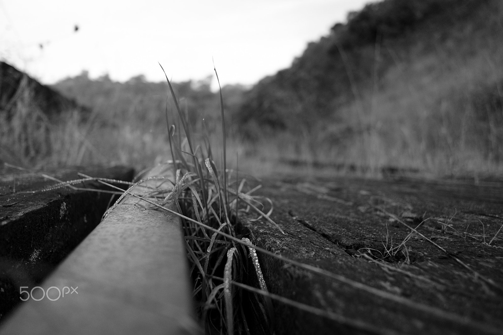 Fujifilm XF 18mm F2 R sample photo. "the razor’s edge" photography