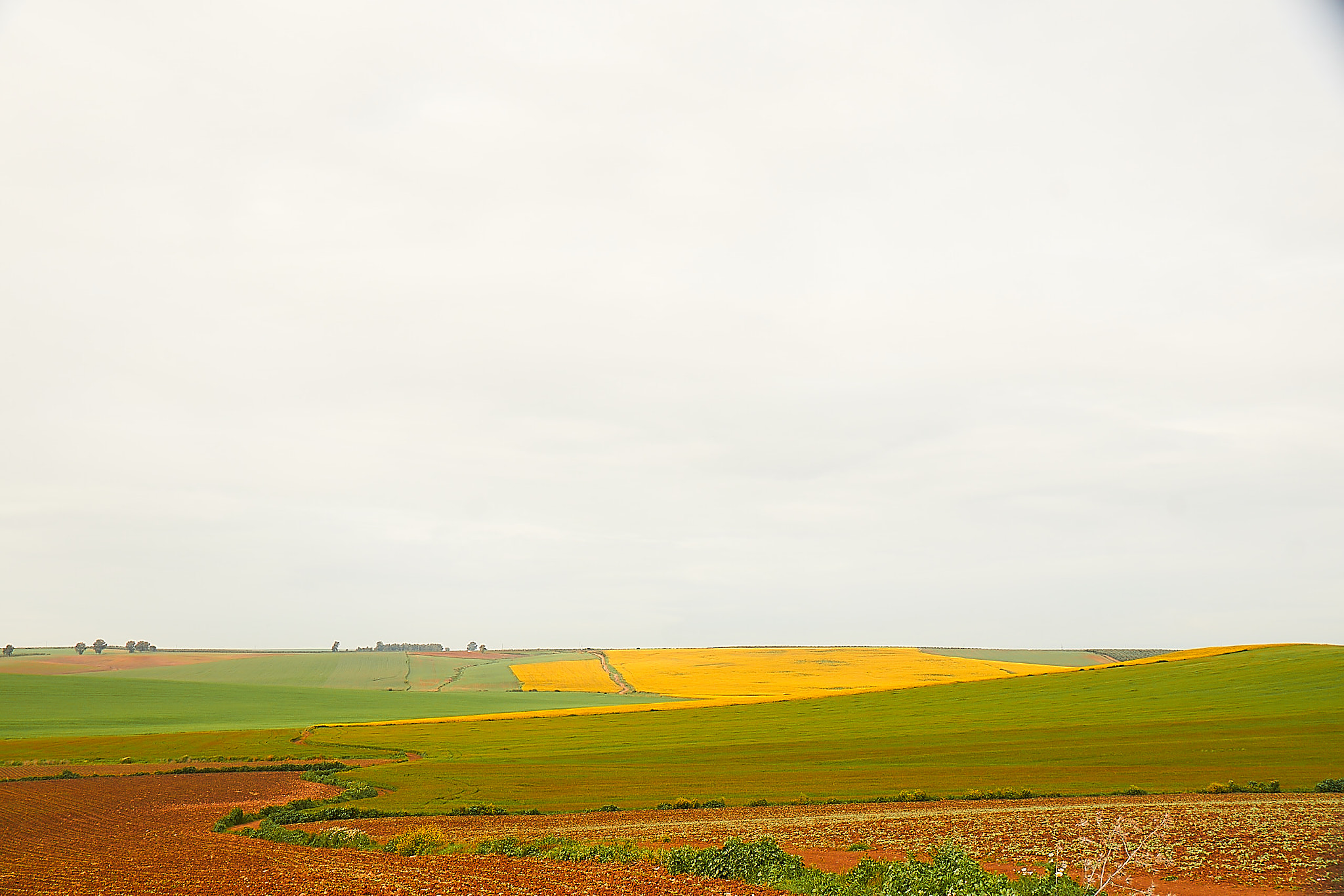 Sony DT 16-105mm F3.5-5.6 sample photo. Spring rainbow photography