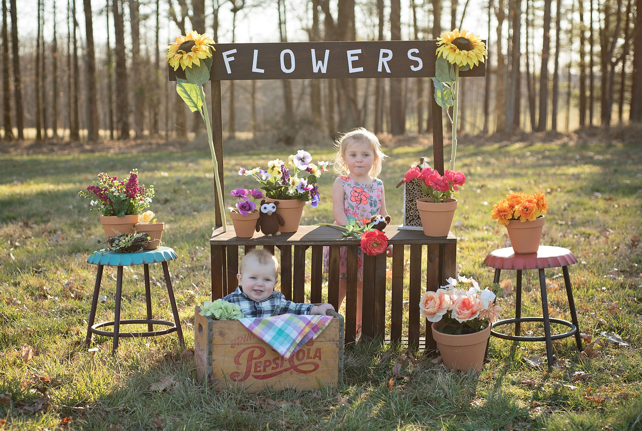 Nikon D750 + Nikon AF Nikkor 50mm F1.8D sample photo. Flower stand mini session photography
