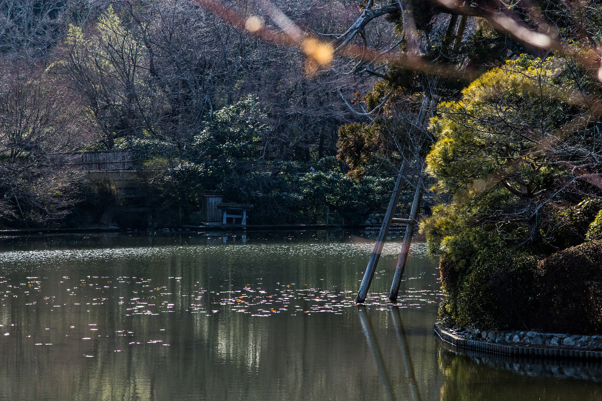 Canon EOS 700D (EOS Rebel T5i / EOS Kiss X7i) sample photo. Twilight lake photography