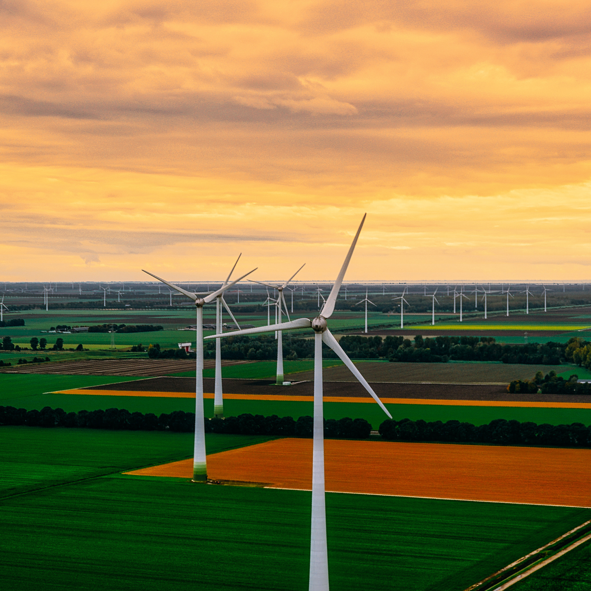 Sony a7R II sample photo. Wind farm photography