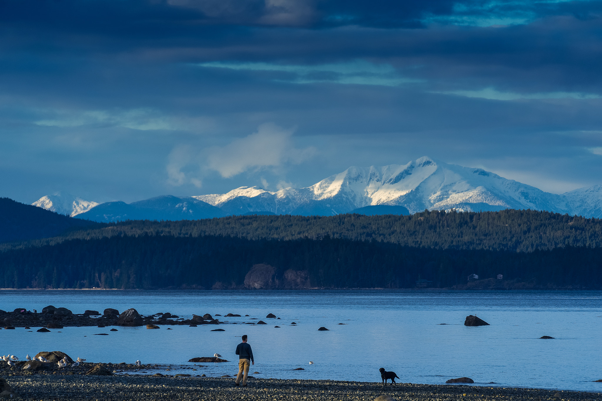 Sony a7 II + Sony FE 70-300mm F4.5-5.6 G OSS sample photo. Man and dog admiring the view photography