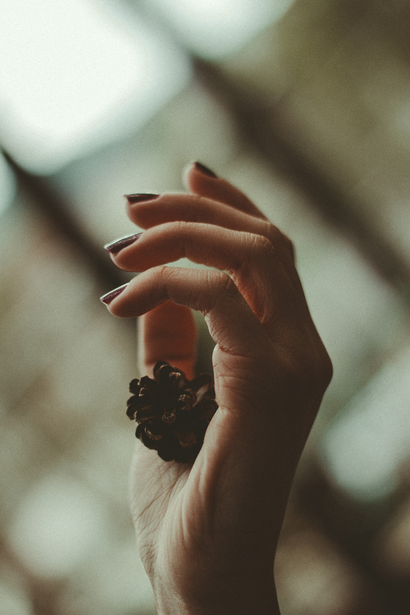 Canon EOS 50D + Canon EF 50mm f/1.8 sample photo. Hand photography
