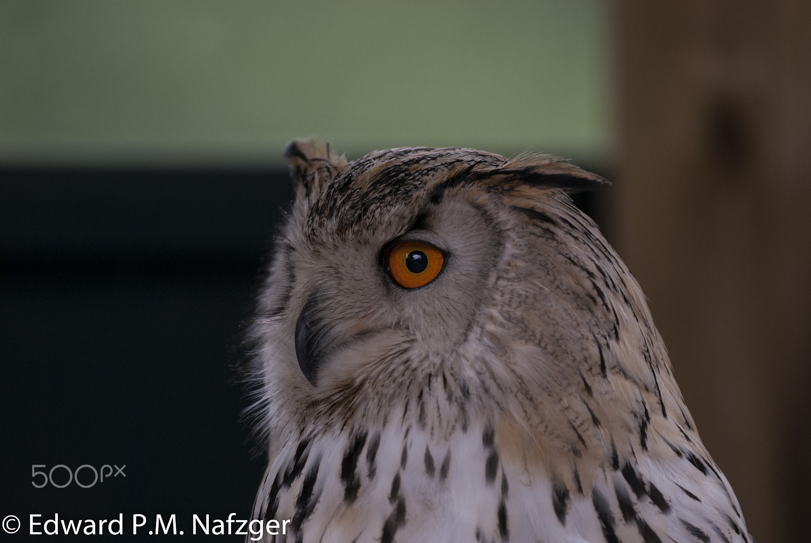 Nikon D200 sample photo. Epm photography