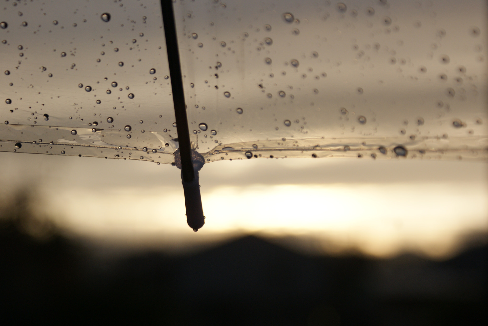 Sony Alpha DSLR-A300 sample photo