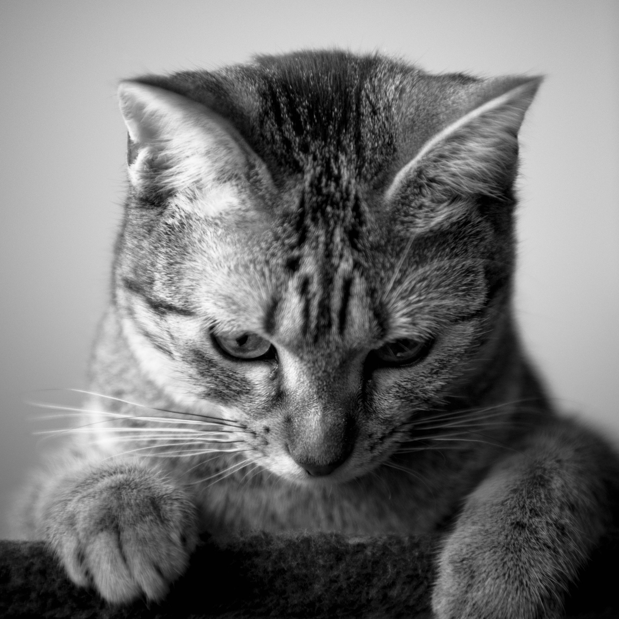 Nikon AF-S Nikkor 24-70mm F2.8E ED VR sample photo
