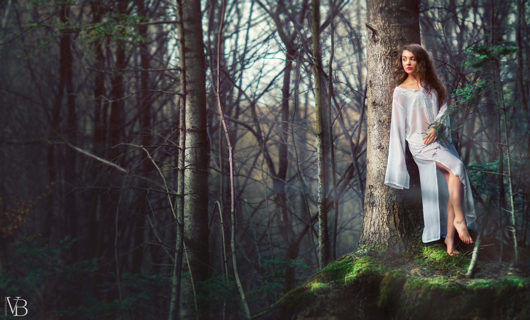 Nikon D800 sample photo. Fairy tale in the forest photography