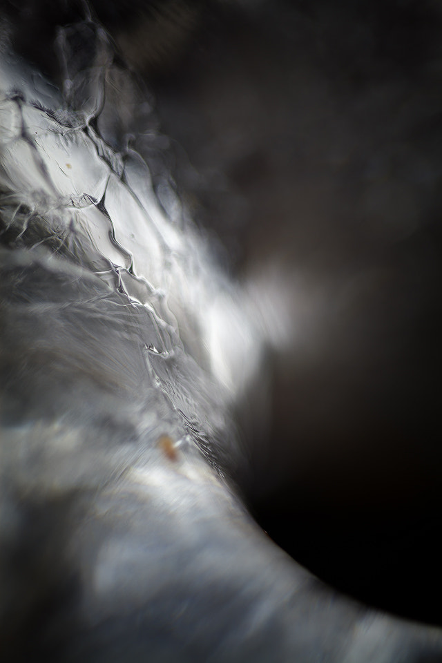 Canon EF 100mm F2.8 Macro USM sample photo. The hole photography