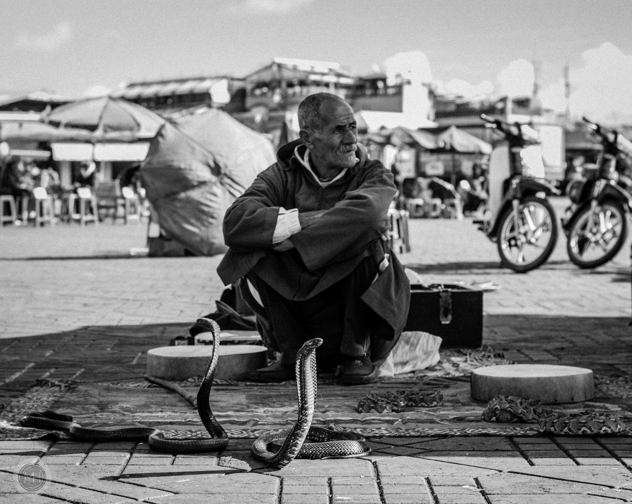 Nikon D7100 + Nikon AF-S Nikkor 50mm F1.8G sample photo. Snake charming photography