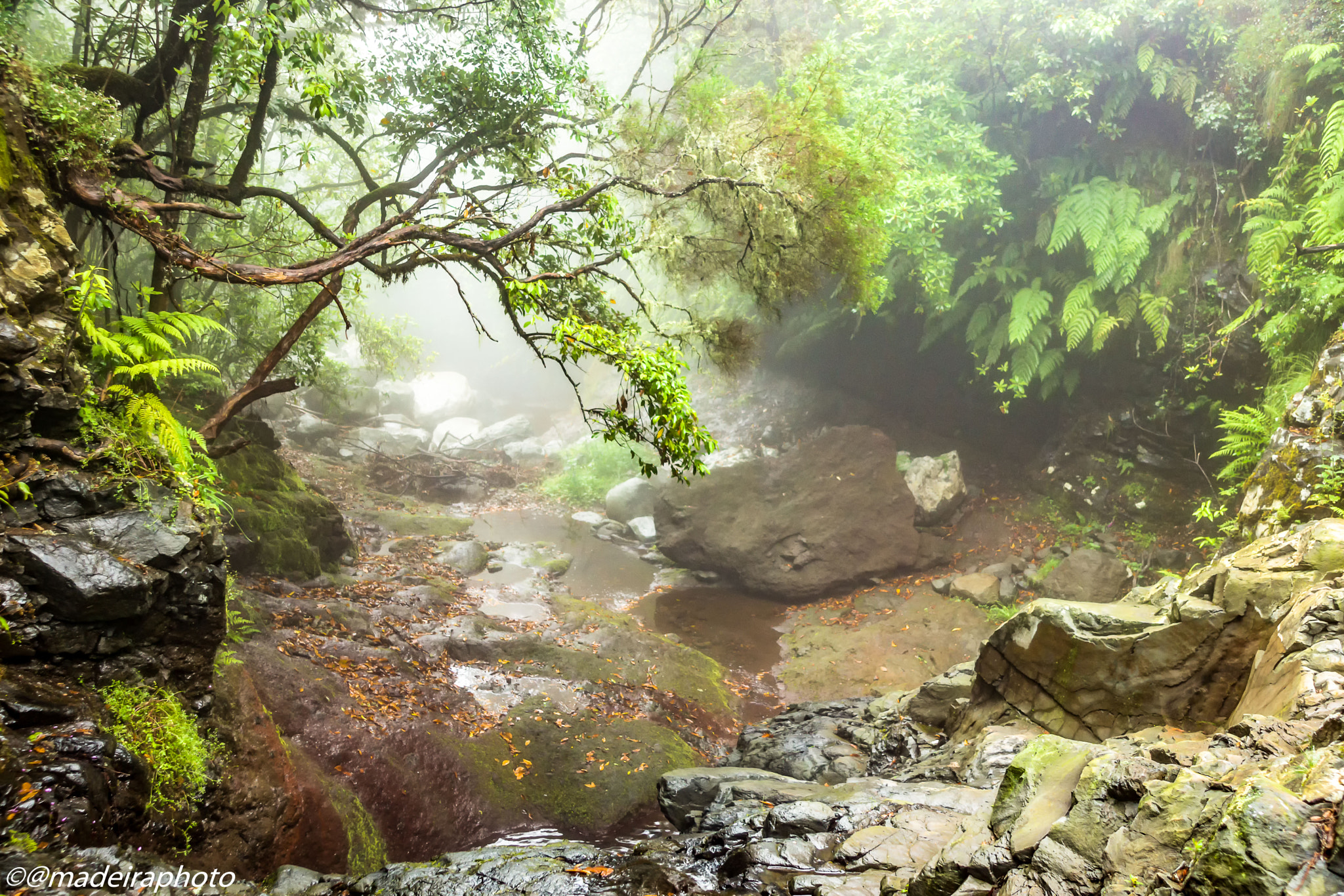 Sony SLT-A65 (SLT-A65V) sample photo. Madeira photography
