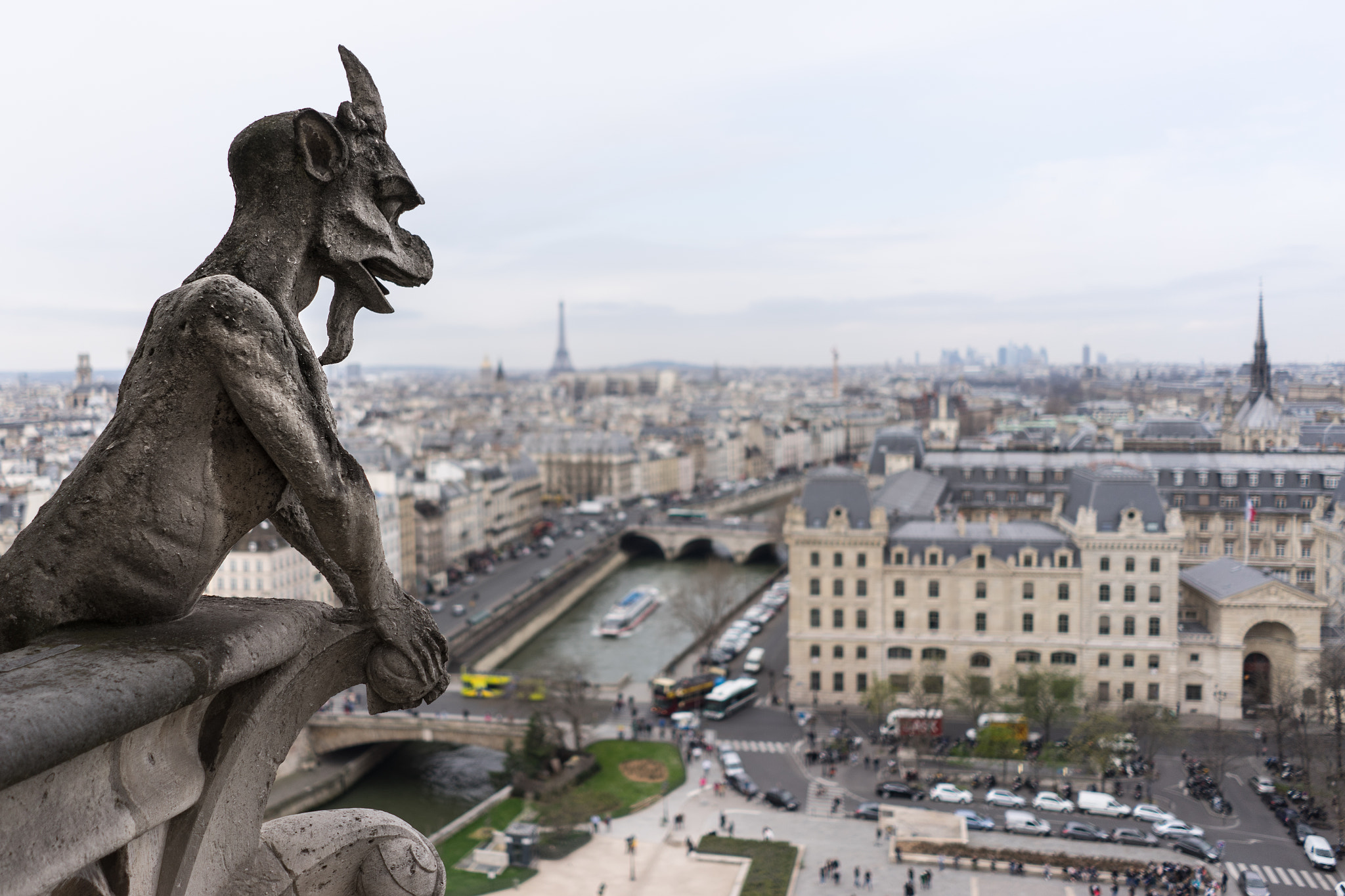 Sony a7 II sample photo. On top of the notre-dame, paris photography