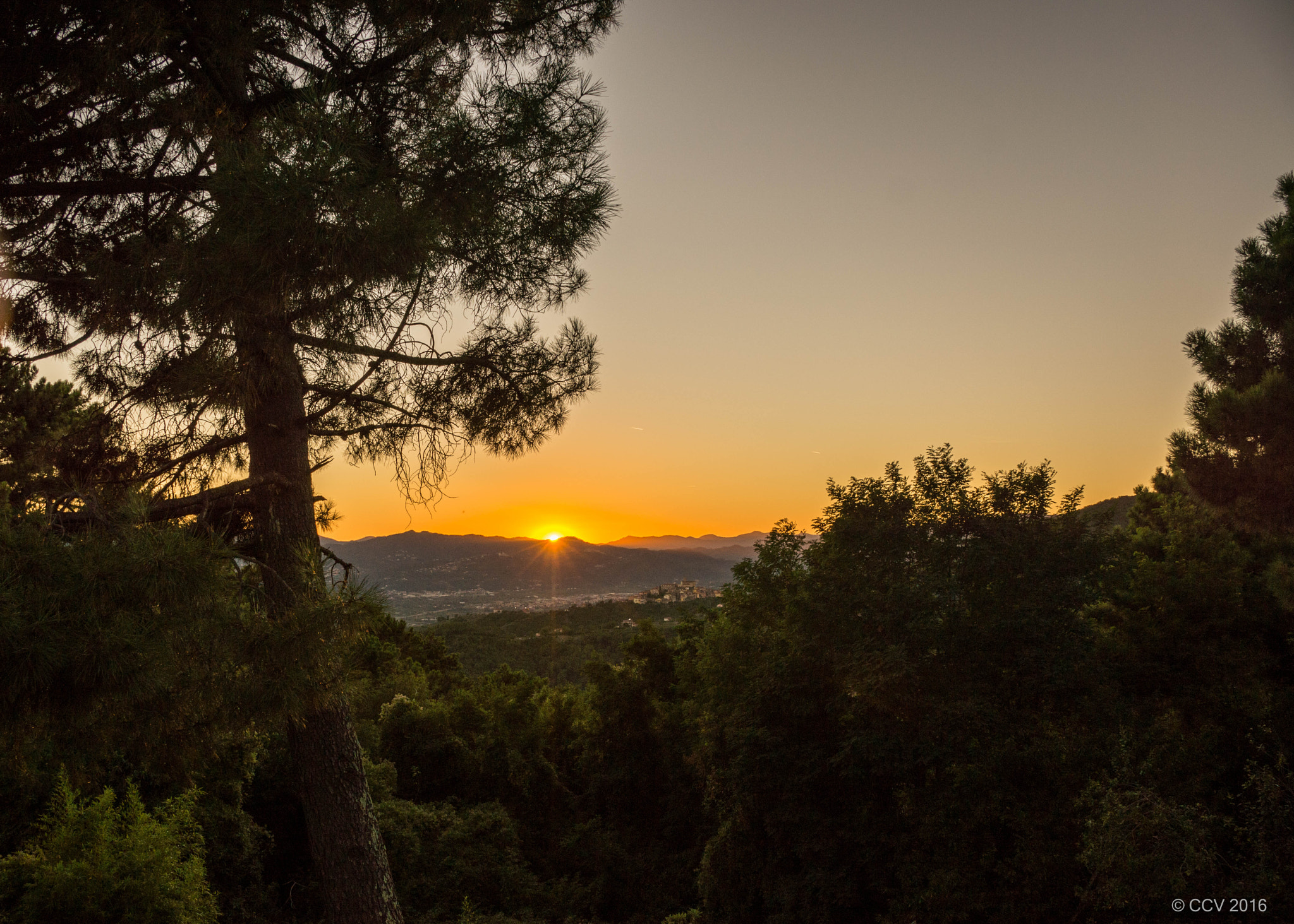 Sony DT 18-135mm F3.5-5.6 SAM sample photo. Spruce sunset photography