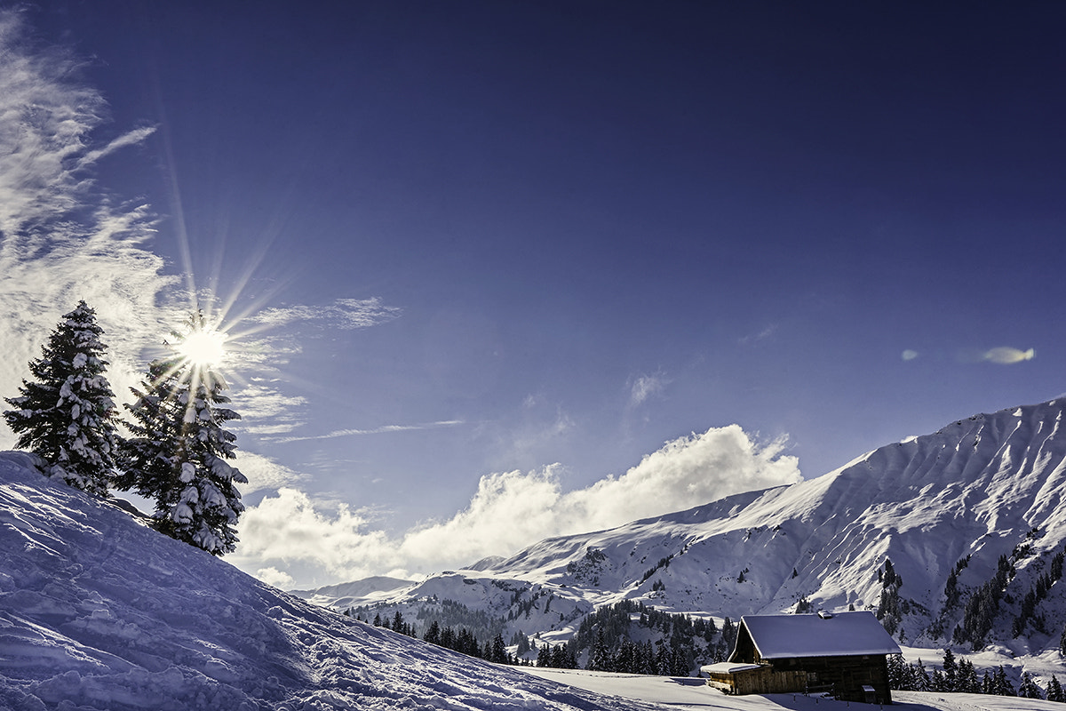 Sony Vario-Sonnar T* 24-70mm F2.8 ZA SSM II sample photo. Winter wonderland photography