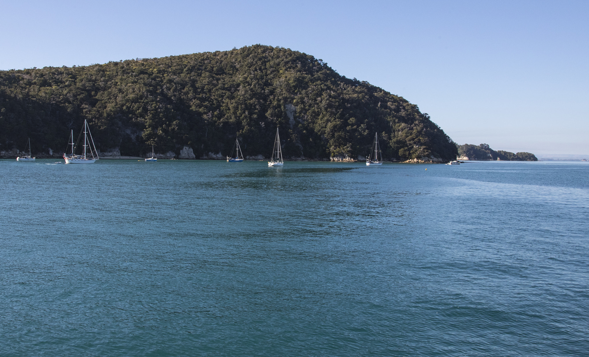 Canon EF 24-105mm F4L IS USM sample photo. Efi photography