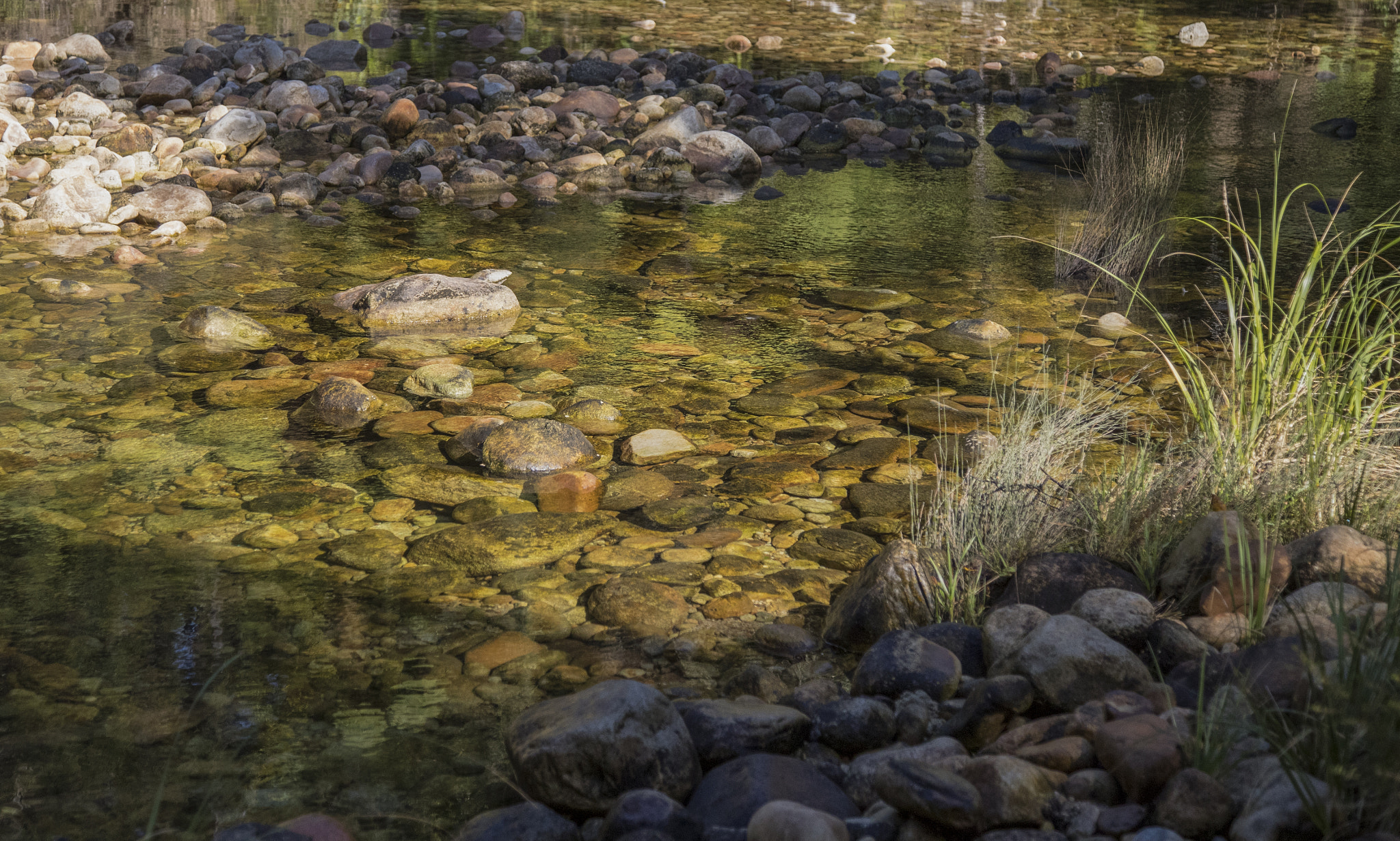 Canon EF 24-105mm F4L IS USM sample photo. Efi photography