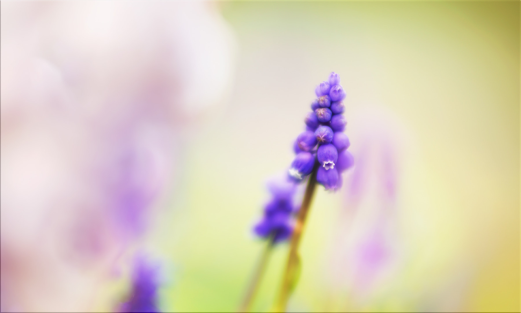 Sony FE 85mm F1.4 GM sample photo. Der weg ist das ziel ... photography