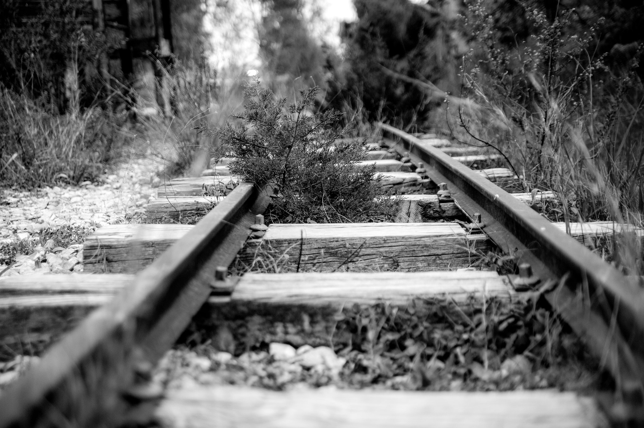 Nikon D700 sample photo. Rails photography