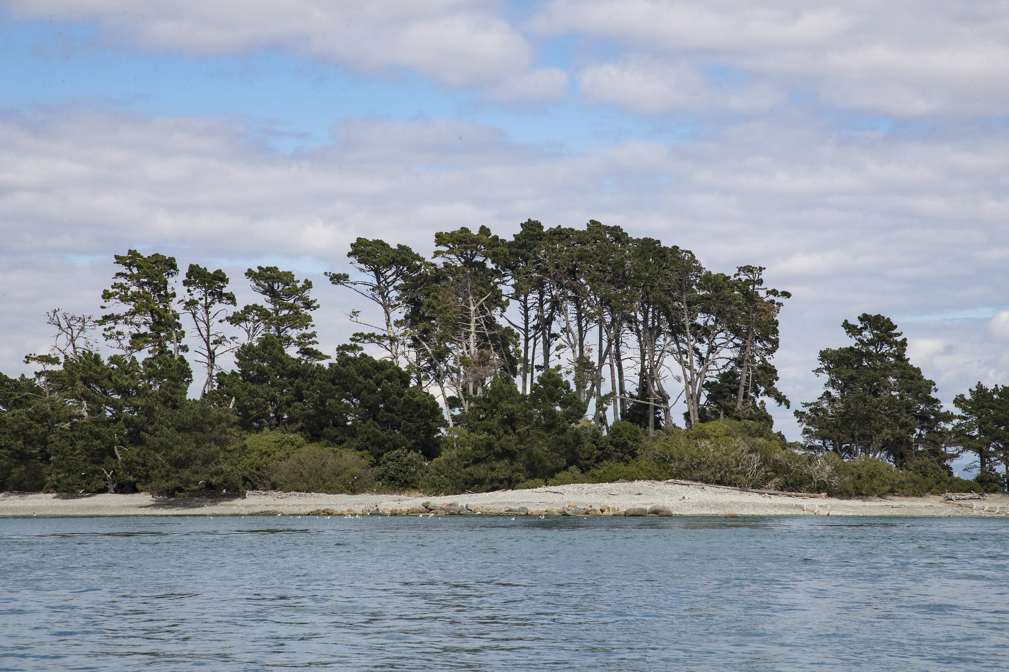 Canon EF 24-105mm F4L IS USM sample photo