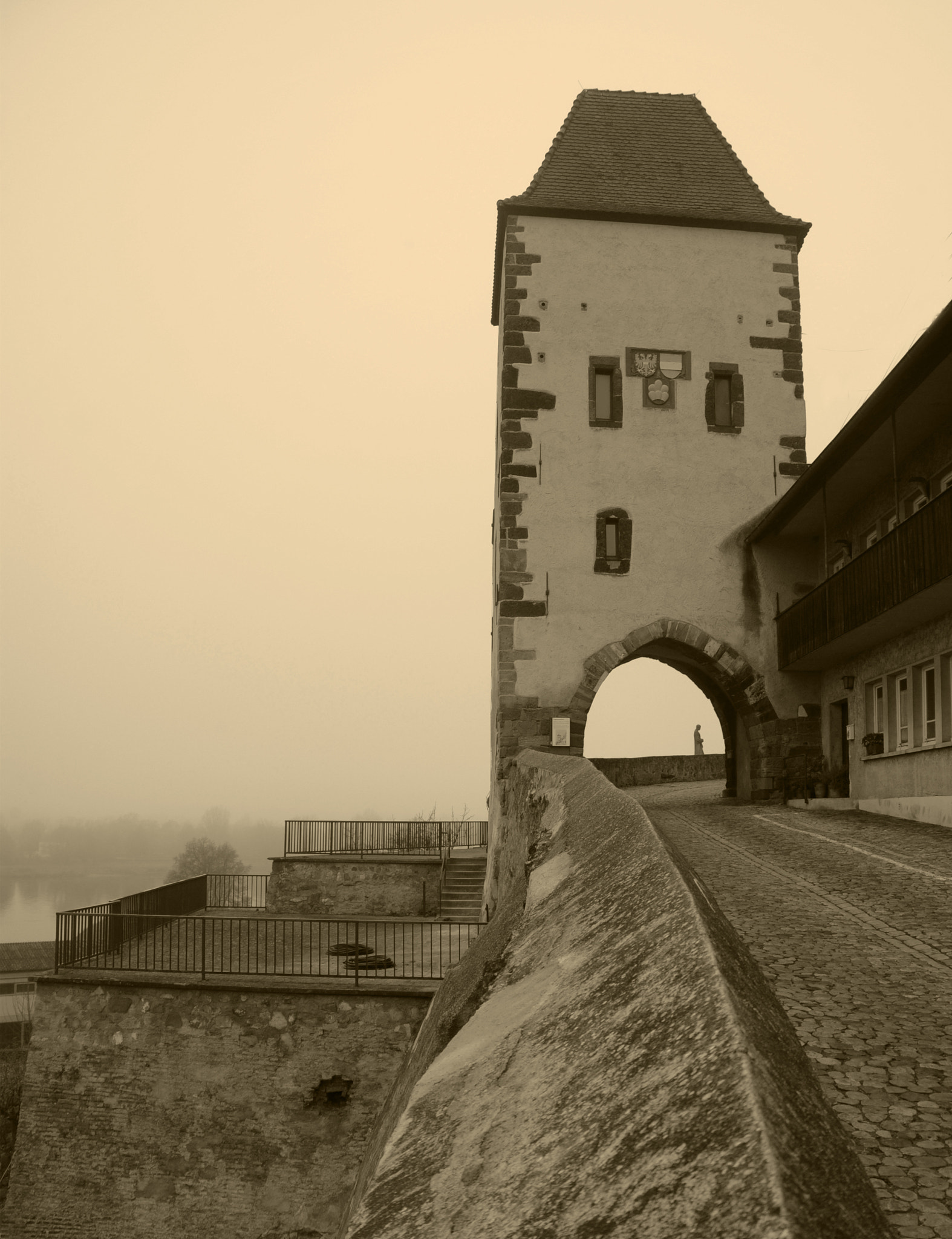 Nikon D3 sample photo. Breisach, germany photography