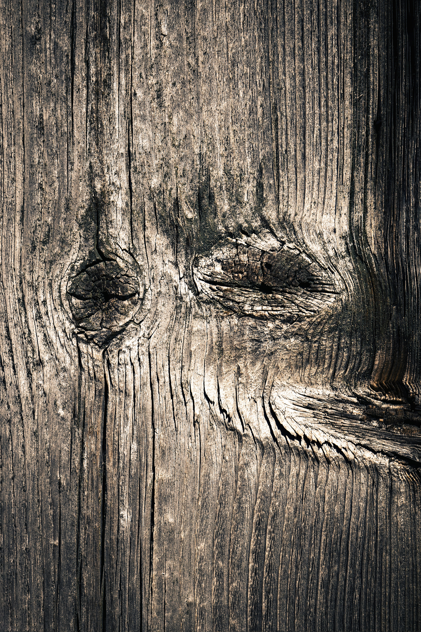 Nikon D5500 sample photo. Detail shabby old wood board photography