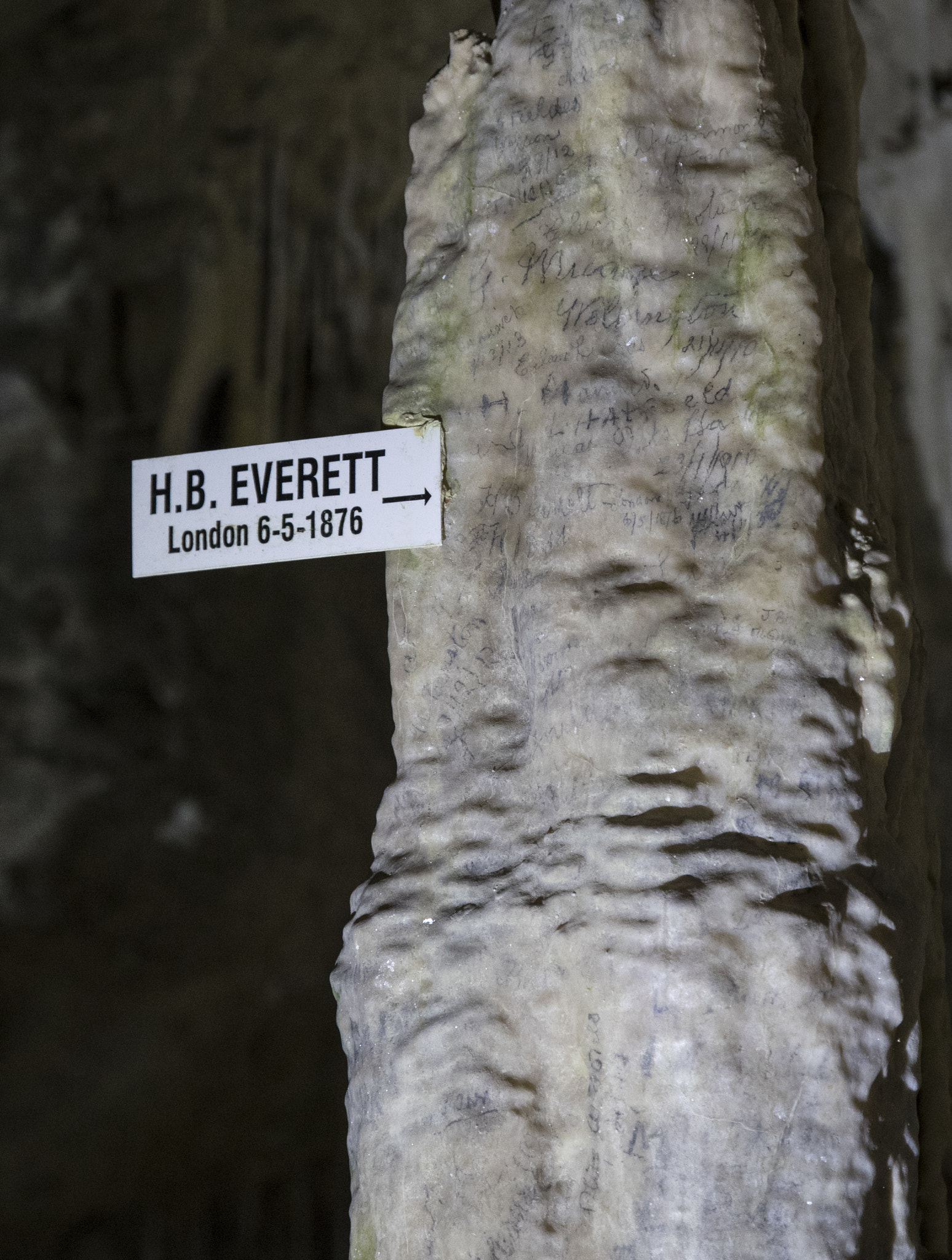 Canon EF 24-105mm F4L IS USM sample photo