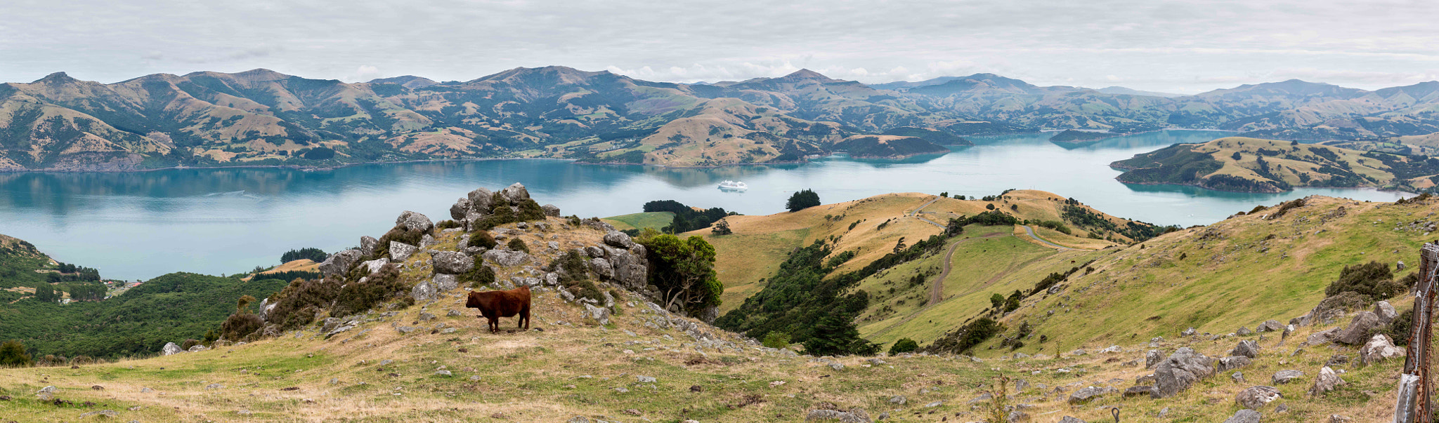 Panasonic Lumix DMC-GX8 sample photo. Banks peninsula panorama photography