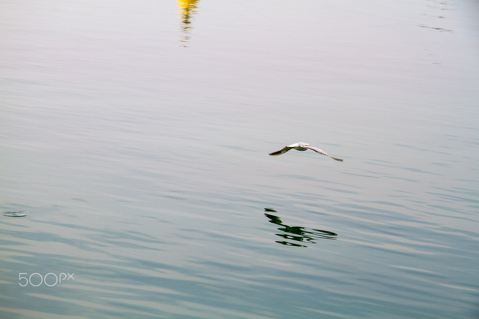 Canon EF-S 17-85mm F4-5.6 IS USM sample photo. Seagull flying on the water of sirmione garda lake photography