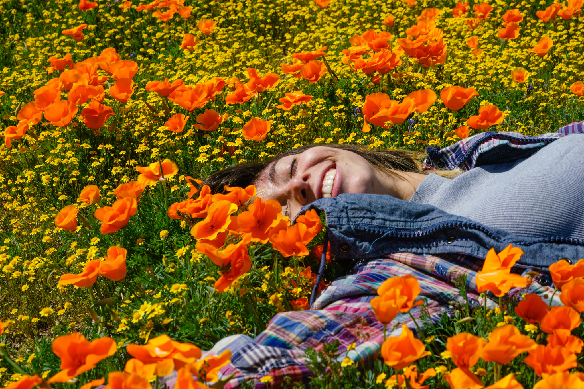 Sony FE 85mm F1.4 GM sample photo. Metro bloomin photography
