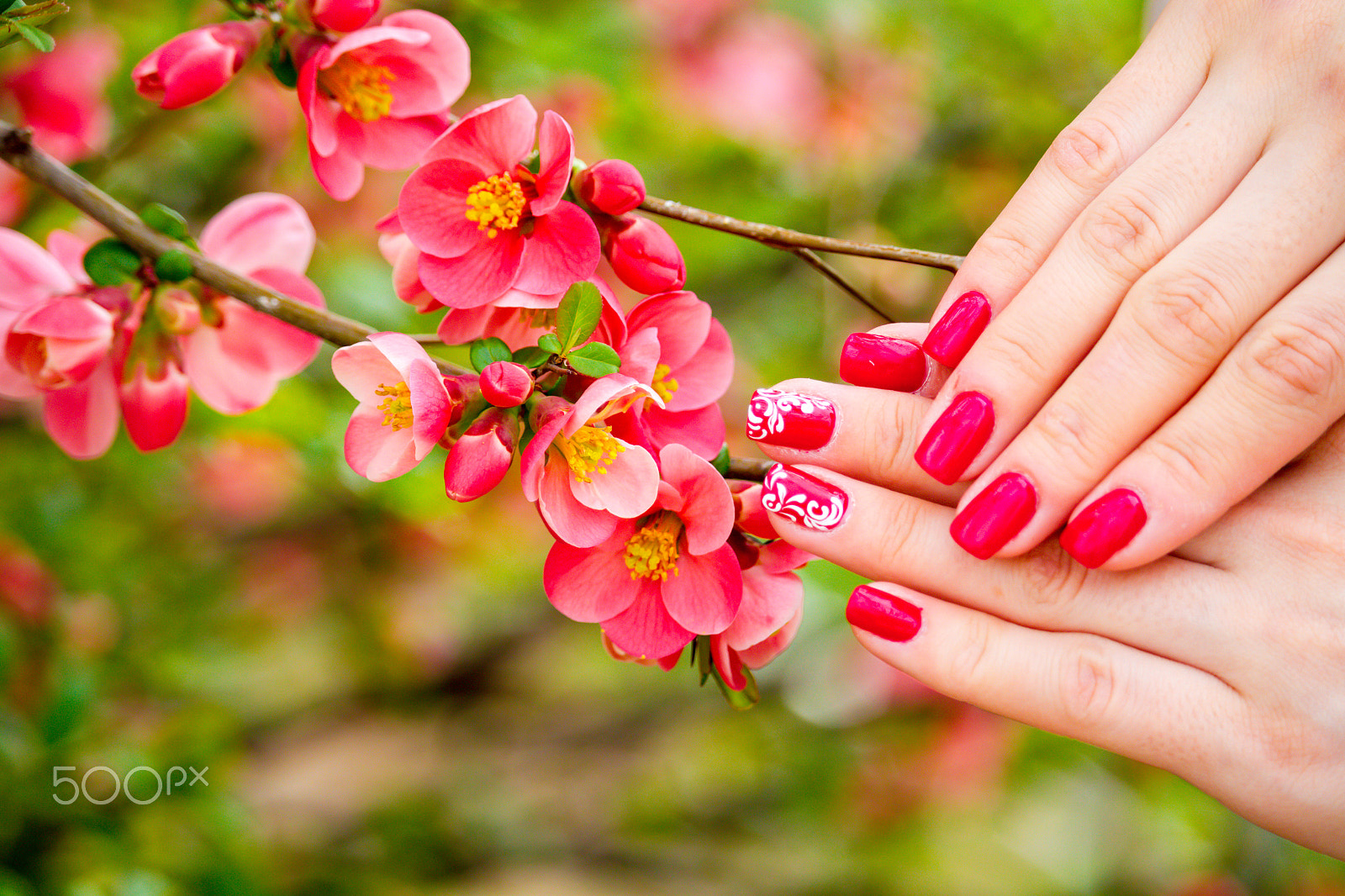 Canon EF-S 55-250mm F4-5.6 IS STM sample photo. Nails in nature photography