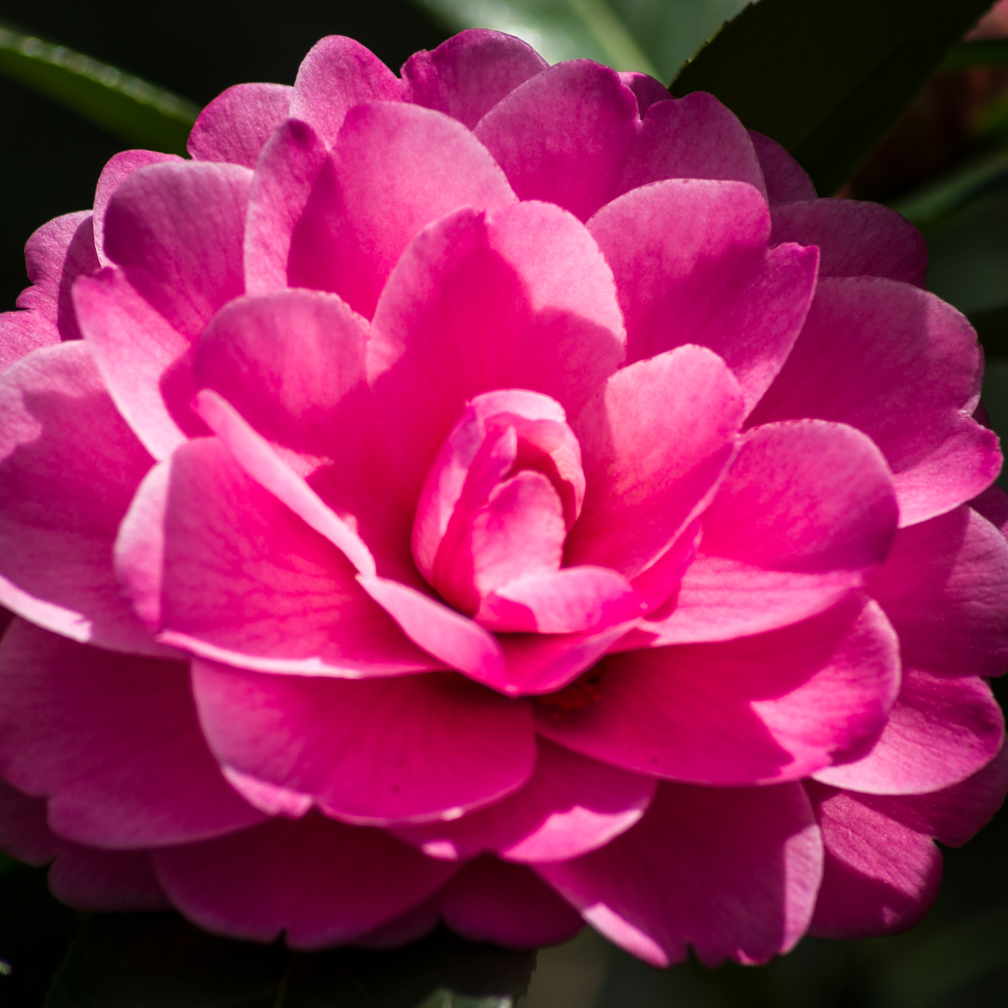 Tamron AF 70-300mm F4-5.6 LD Macro 1:2 sample photo. Here comes the sun photography
