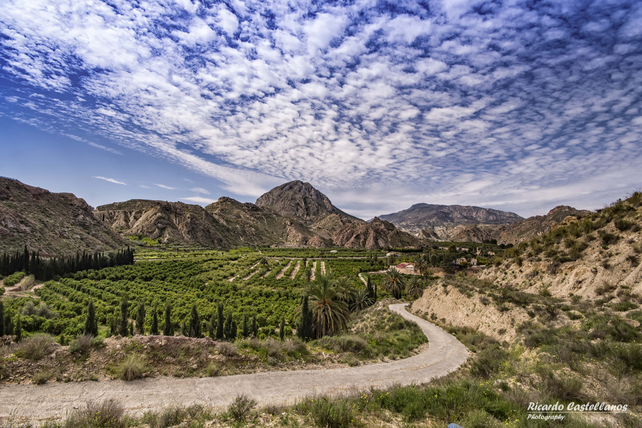Sigma AF 10-20mm F4-5.6 EX DC sample photo. Valle de ricote (murcia) photography