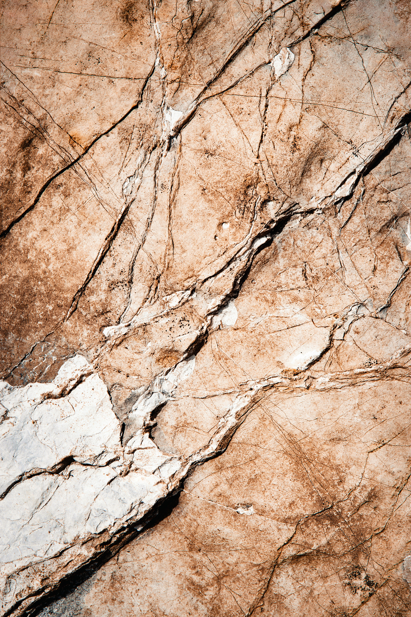 Nikon D5500 sample photo. Old limestone veined from photography