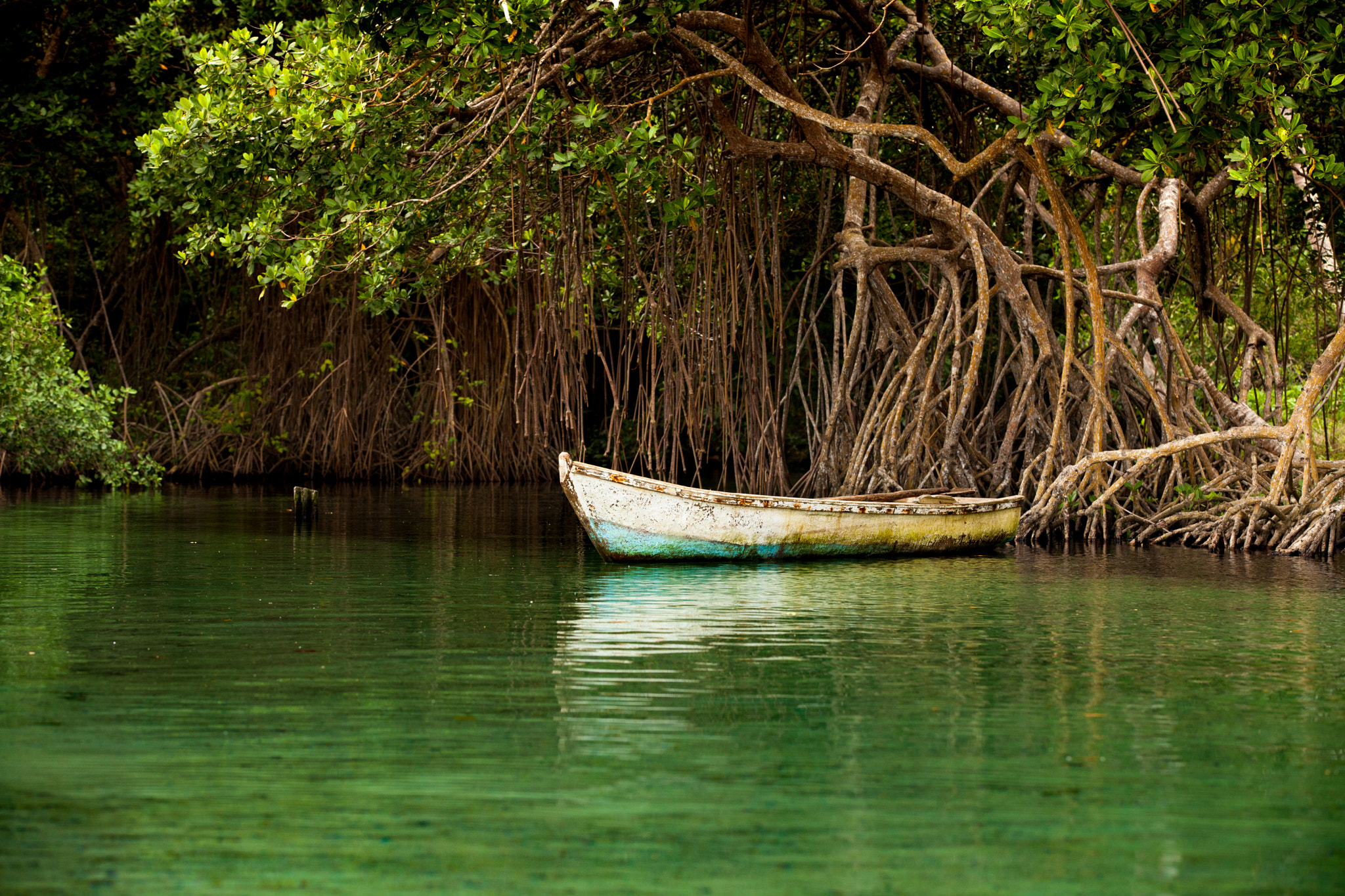 Canon EF 70-200mm F2.8L IS II USM sample photo. Boat photography