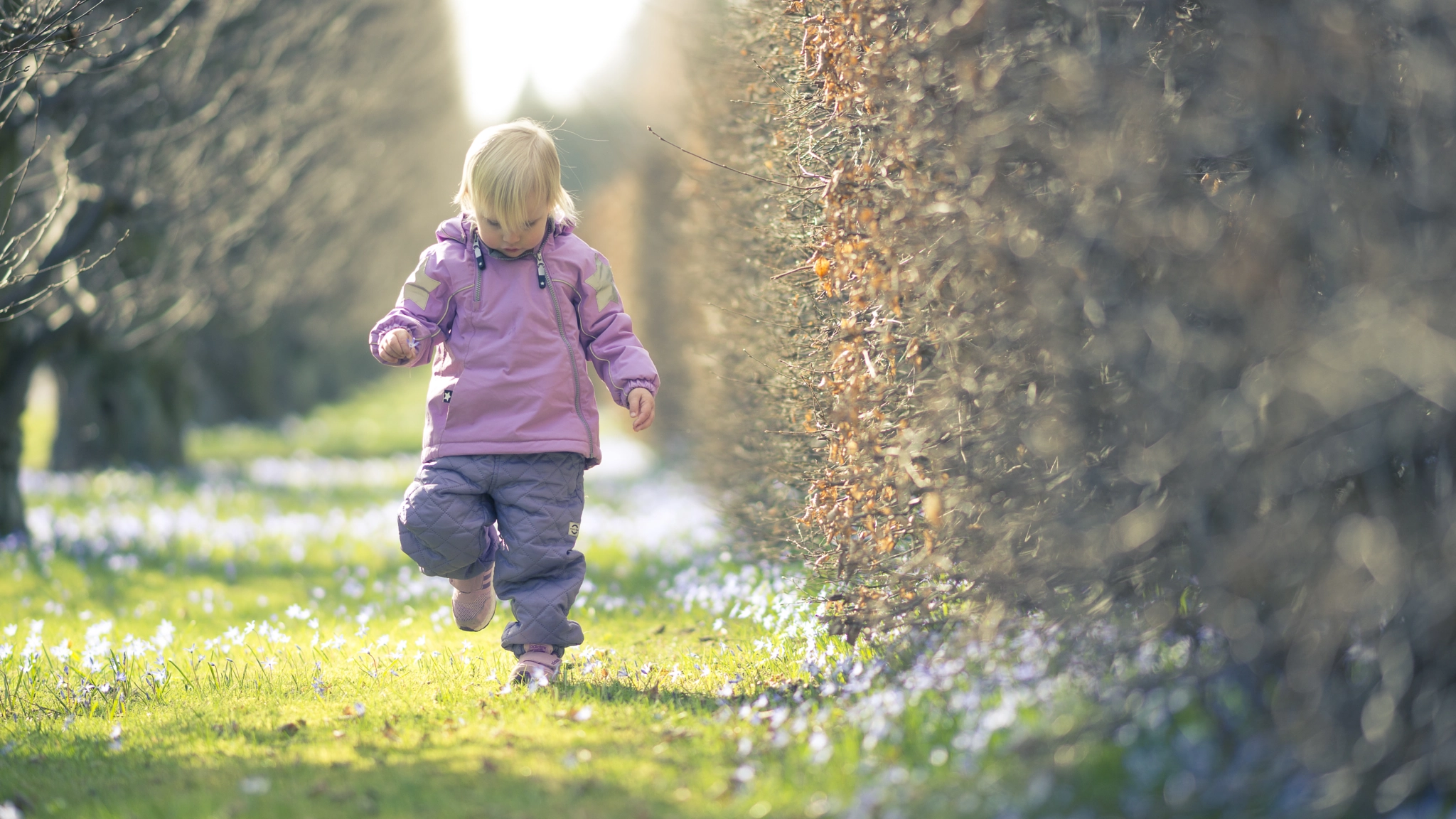 Sony Sonnar T* 135mm F1.8 ZA sample photo. A walk in the park photography