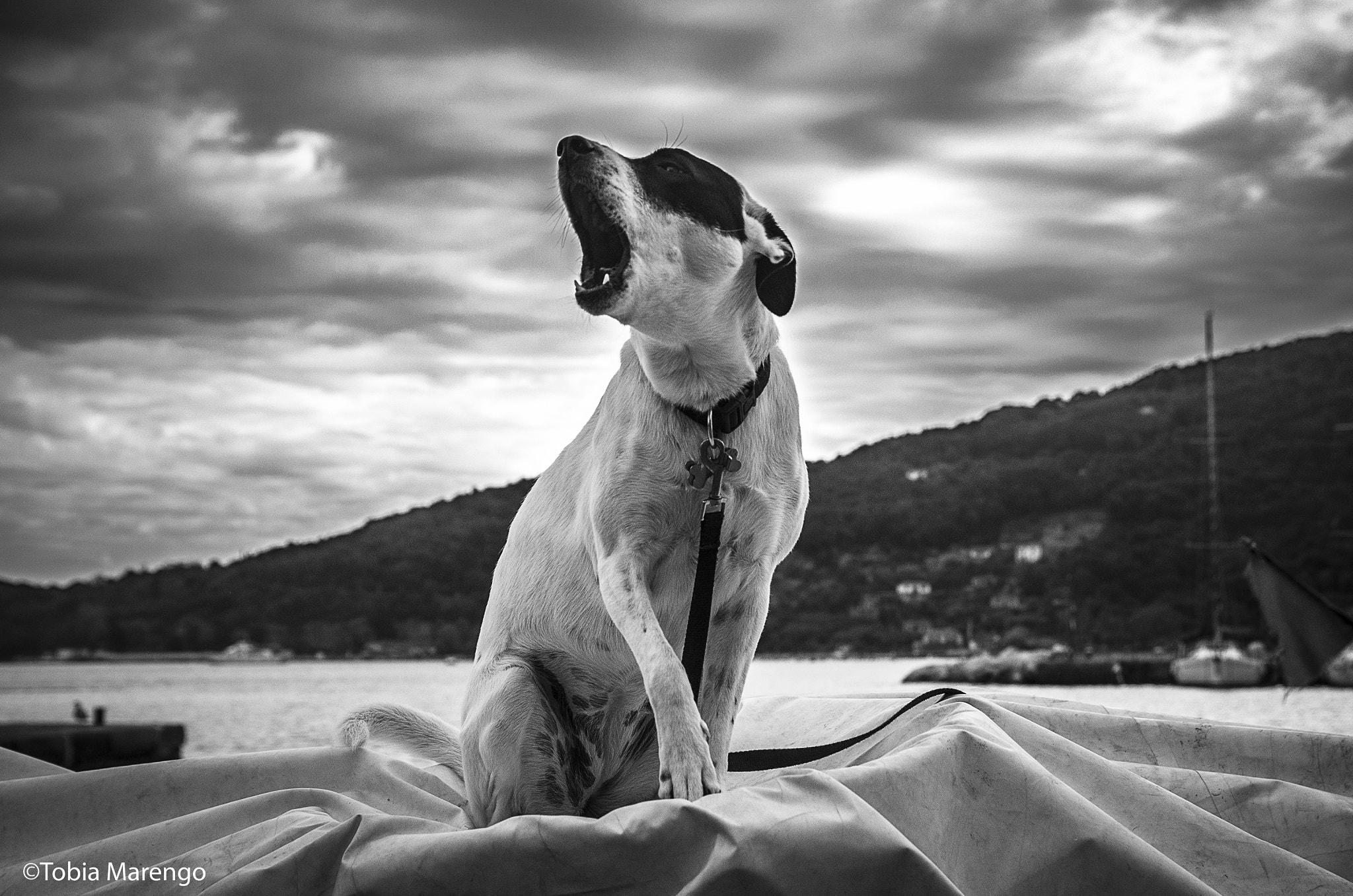 Pentax K-50 sample photo. Tobia marengo, portovenere (italy) - 2016 photography