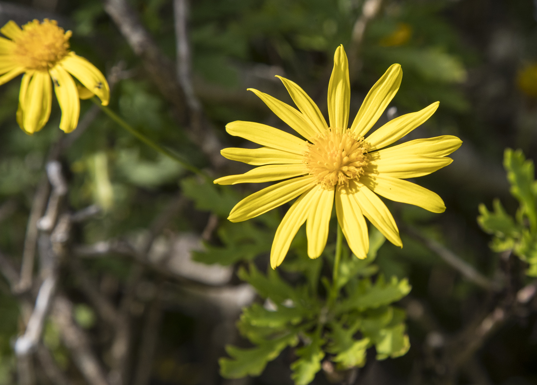 Canon EF 24-105mm F4L IS USM sample photo