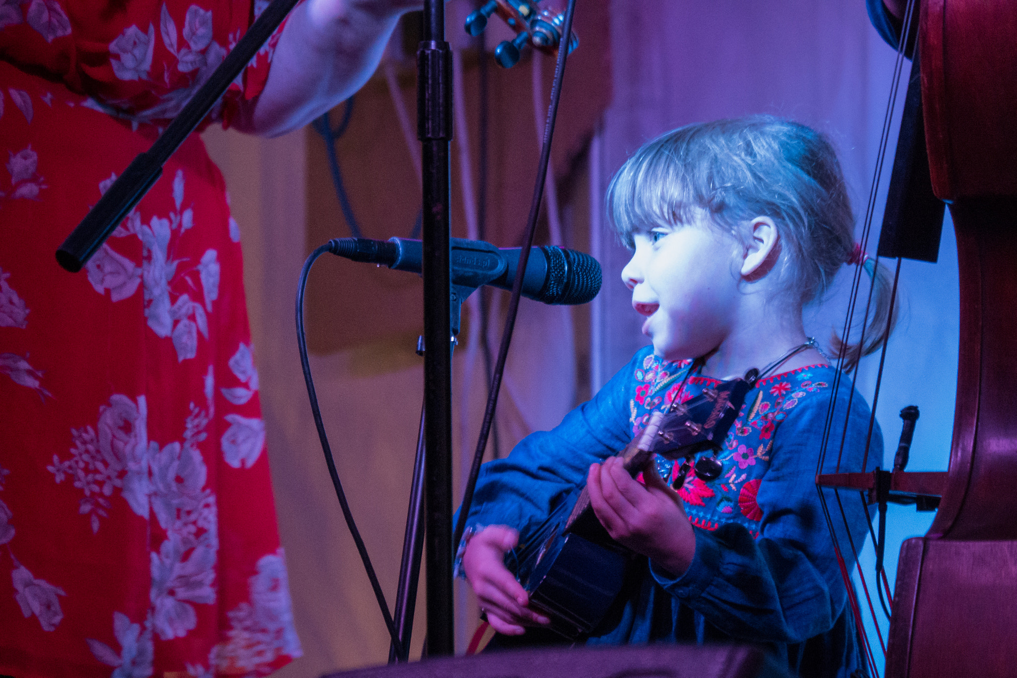 Panasonic Lumix DMC-GX7 sample photo. Conwy bluegrass festival photography
