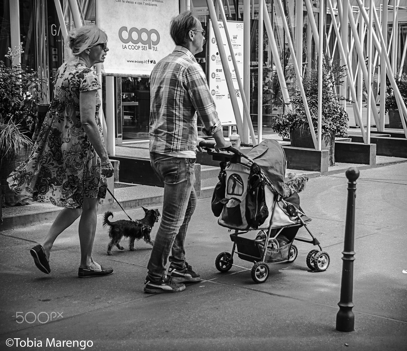 Pentax K-50 + Sigma 17-50mm F2.8 EX DC HSM sample photo. Tobia marengo, milan (italy) - 2016 photography