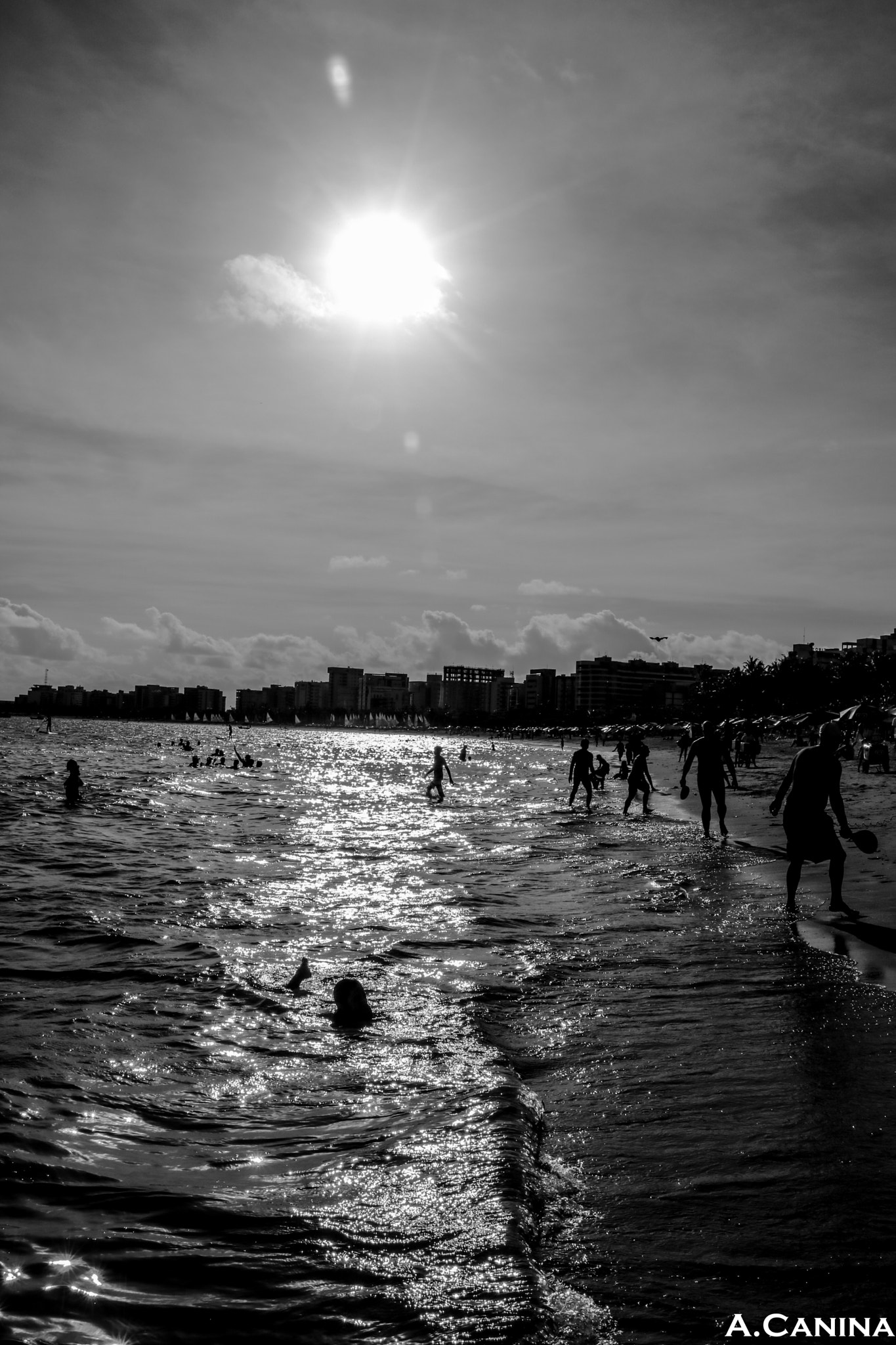 Canon EOS 760D (EOS Rebel T6s / EOS 8000D) sample photo. Afternoon at beach photography