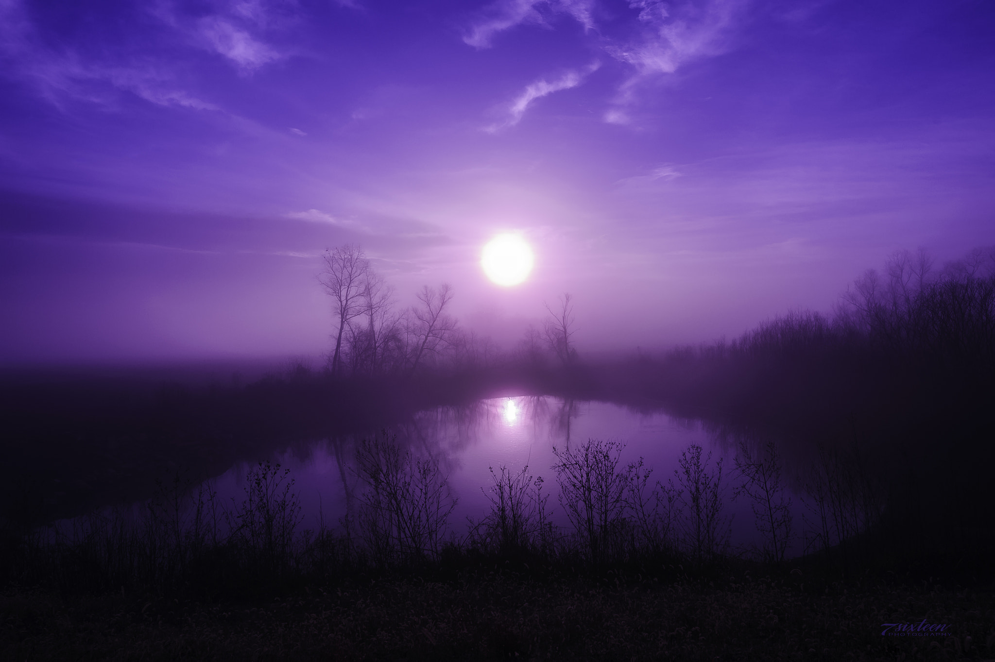 Nikon AF-S Nikkor 14-24mm F2.8G ED sample photo. Purple haze photography